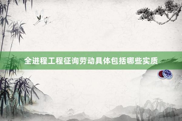 全进程工程征询劳动具体包括哪些实质